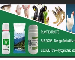 Prawn Bile Acid