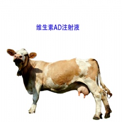 Vitamin AD INJ.