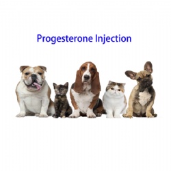 Progesterone INJ.