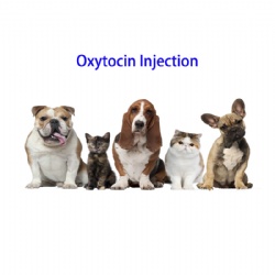 Oxytocin INJ.