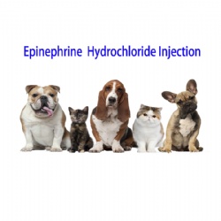 Epinephrine Hydrochloride INJ.