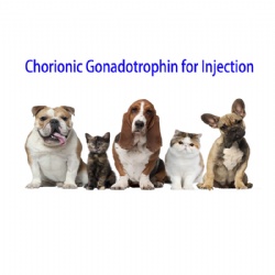Chorionic Gonadotrophin INJ.