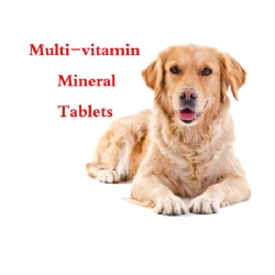 Pets multivitamin tablets