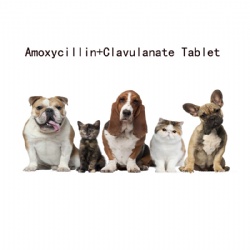 Amoxycillin+clavulanata tablet