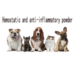 Hemostatic and anti-inflammatory powder