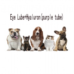 Eye Lube+Hyaluron(purple tube)
