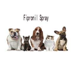 Spray for Ticks