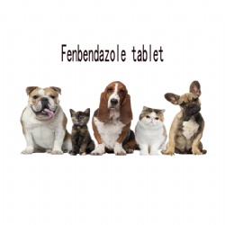 Fenbendazole tablet