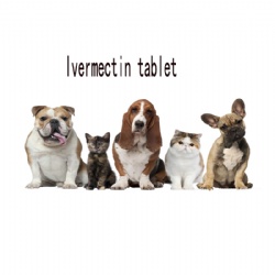 Ivermectin tablet
